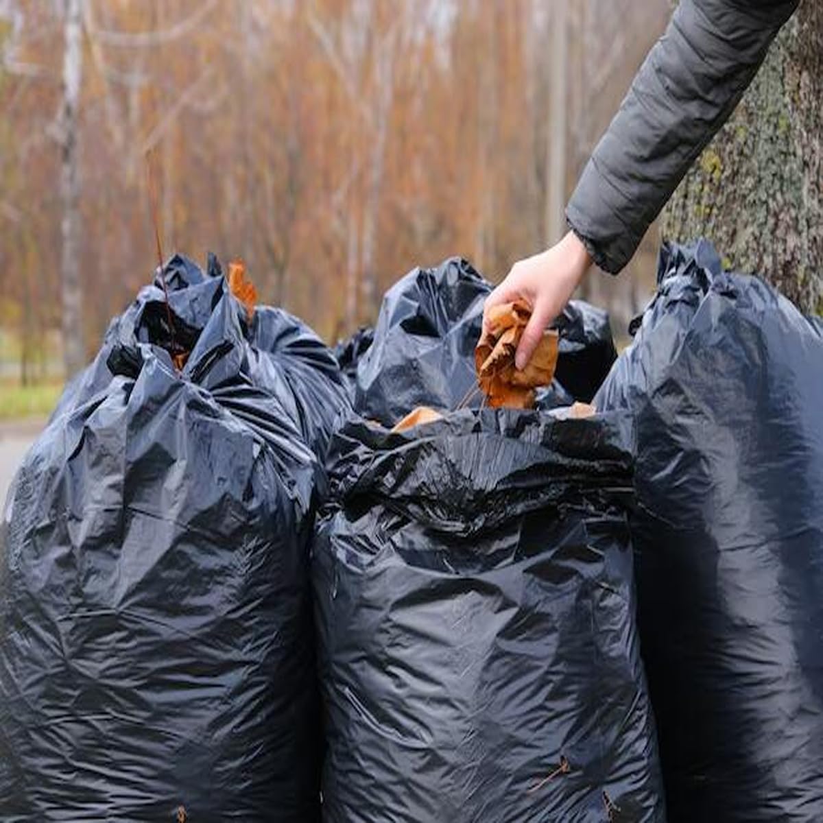 40-45 Gallon Lawn & Leaf Trash Bags, 250 Count Bulk, Black Garbage bags, Multi-purpose Trash Can
