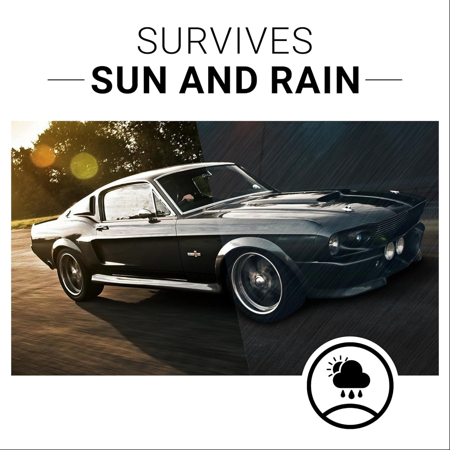 CAR GUYS Plastic Restorer | Bring Plastic, Rubber, and Vinyl Back to Life! | User Friendly Trim
