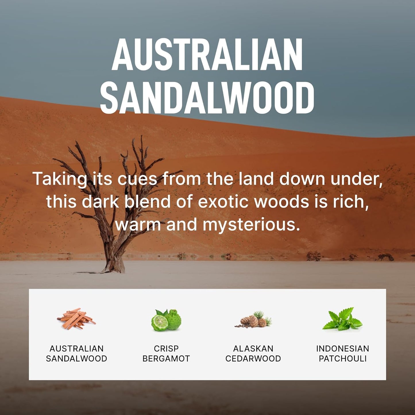 Laundry Sauce - Signature Bundle Australian Sandalwood, Scented Laundry Detergent Pods & Scent