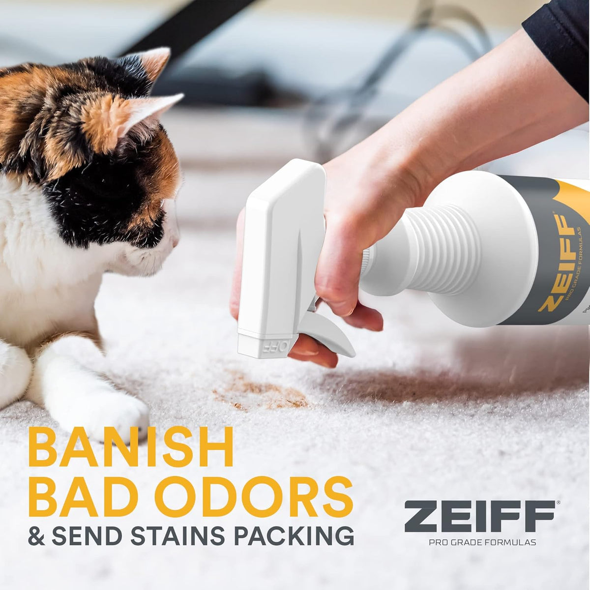 Pet Stain and Odor Remover - Pet Odor Eliminator for Home and Professional Use - Pet Urine Enzyme