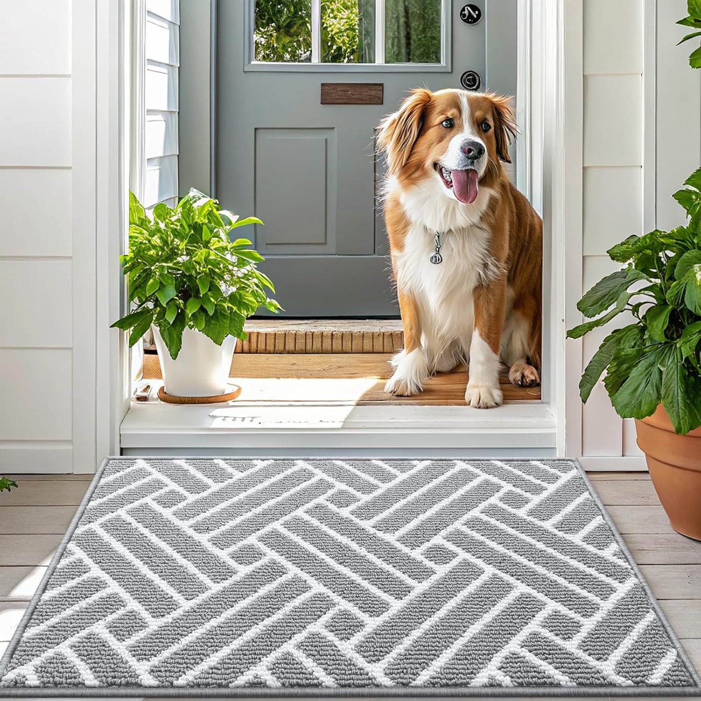 OLANLY Large Indoor Door Mat, 59x35 Inch, Dirt Resistant and Absorbent, Non-Slip Rubber Backing