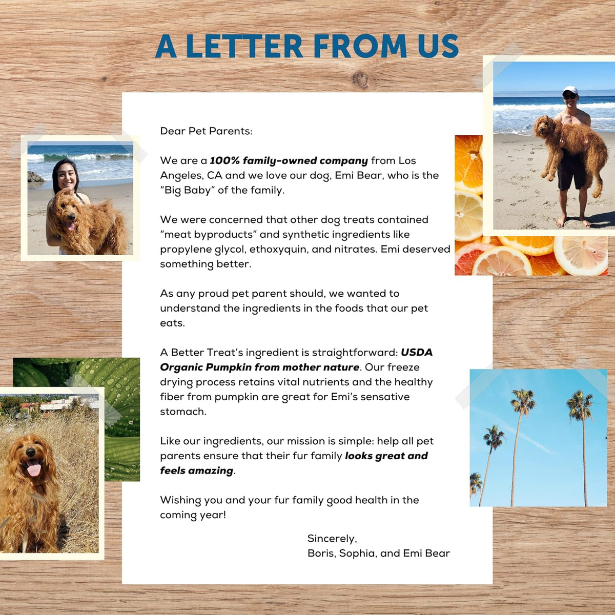 A Better Treat – Freeze Dried Organic Pumpkin Dog and Cat Treats, Organic, Single Ingredient |