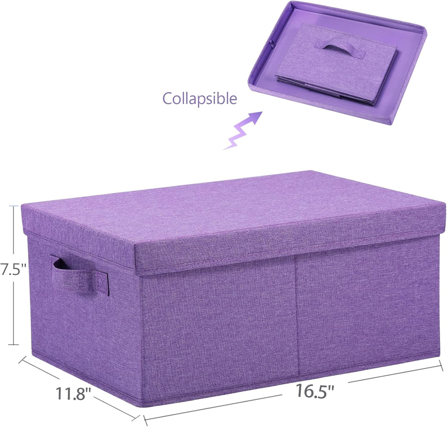 HOONEX Foldable Storage Bins with Lids, Pack of 2, Storage Boxes with 2 Carrying Handles and Sturdy