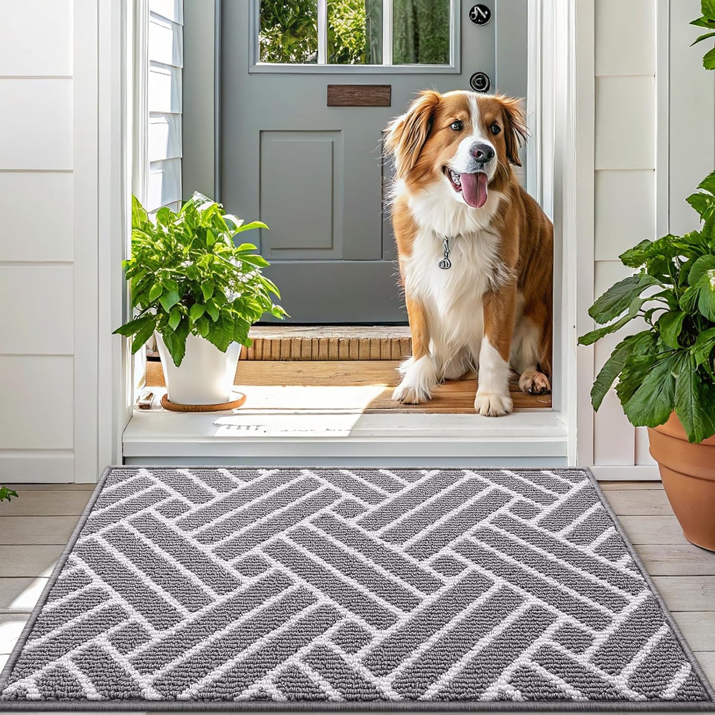 OLANLY Runner Indoor Door Mat, 70x23 Inch, Dirt Resistant and Absorbent, Non-Slip Rubber Backing