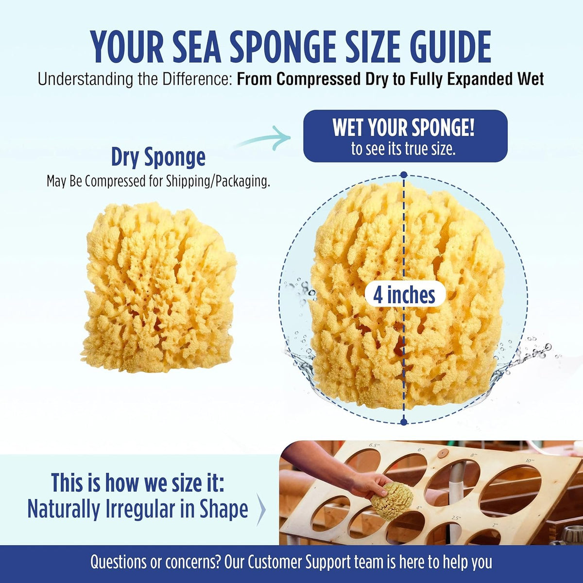 Baby Buddy Baby Bath 4in Assorted Sea Sponges, Absorbent Natural Sea Sponge, Soft on Tender Skin