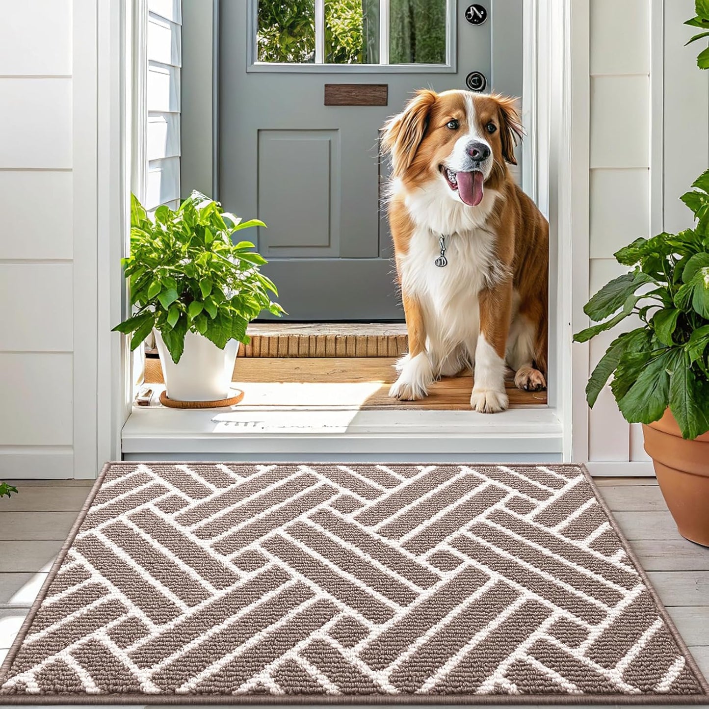 OLANLY Runner Indoor Door Mat, 47x23 Inch, Dirt Resistant and Absorbent, Non-Slip Rubber Backing