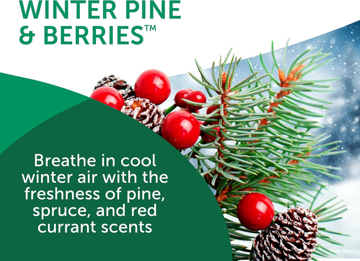Bright Air 14 oz. Super Odor Eliminator, For Medium-Size Spaces, Winter Pine & Berries Scent, Case