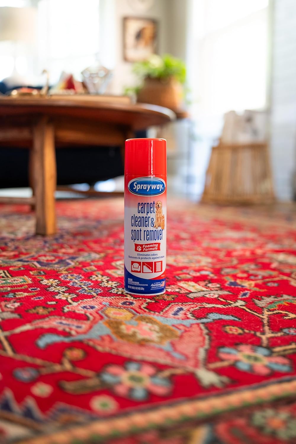 Sprayway Carpet Cleaner (Pet), 19oz, Pack of 6 | Removes Pet Stains & Odors, Foaming Action | Deep