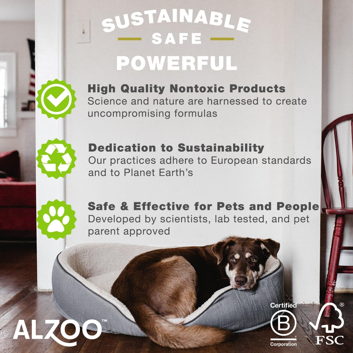 ALZOO Stain & Odor Remover, Quickly Lifts & Dissolves Pet Stains & Helps Eliminate Odors, 100%