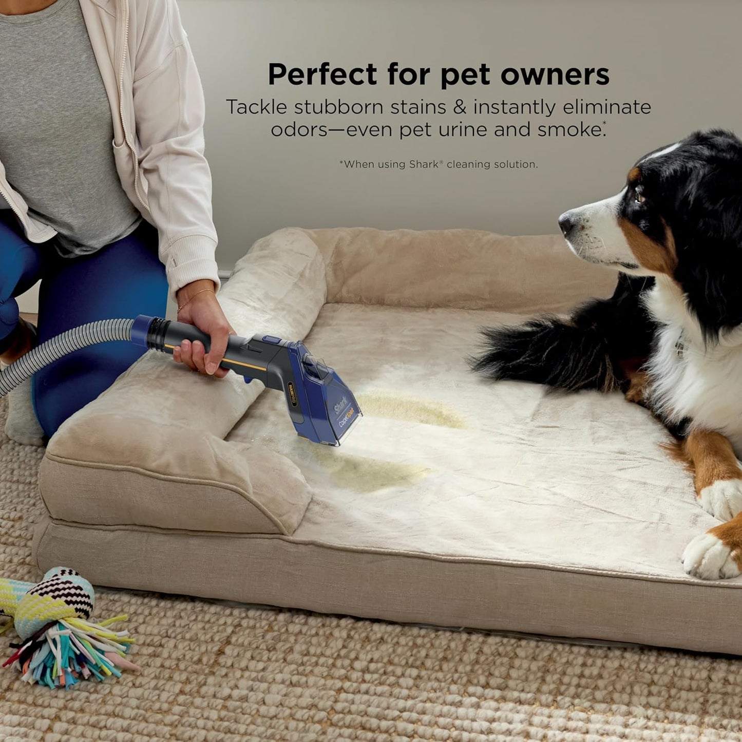 Shark CarpetXpert HairPro Upright Carpet, Area Rug & Upholstery Cleaner with Spot & Stain Remover