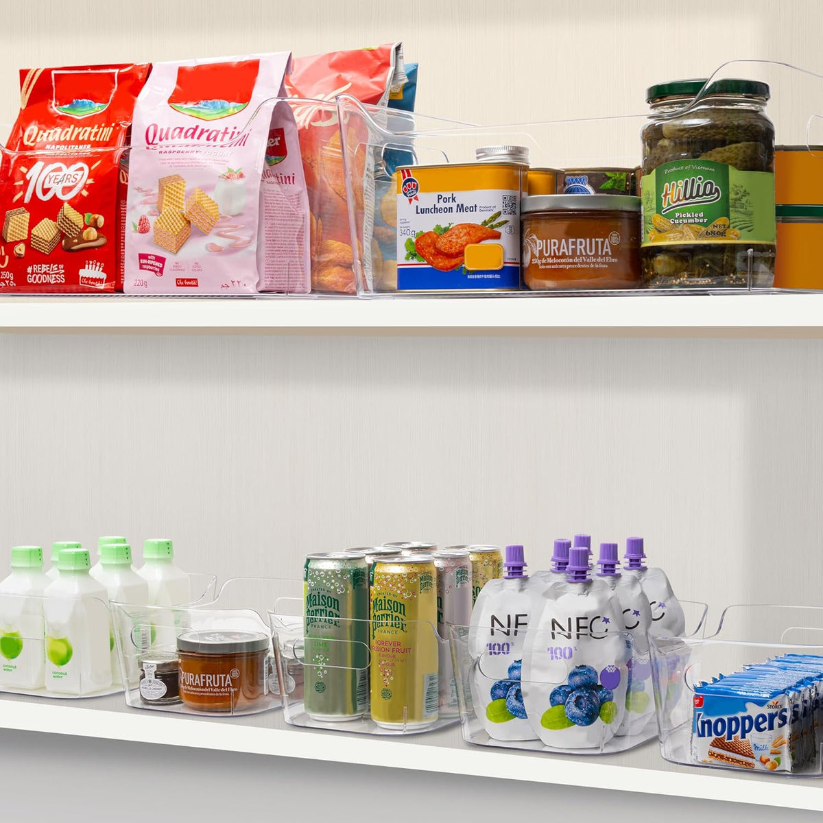 Tiawudi Set of 8 Clear Plastic Storage Bins, 2 Extra Large and 6 Small Storage Containers for