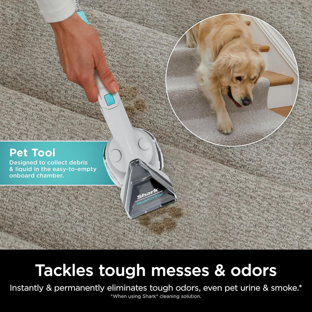 Shark CarpetXpert with StainStriker Upright Carpet, Area Rug & Upholstery Cleaner with Pet Mess