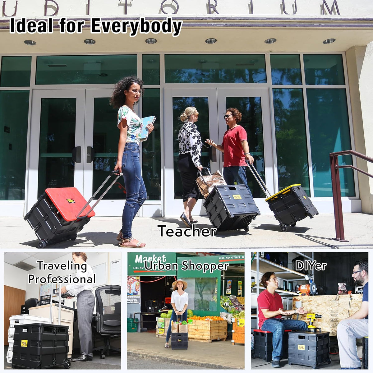 dbest products Quik Cart Collapsible Rolling Crate on Wheels for Teachers Tote Basket 80 lbs