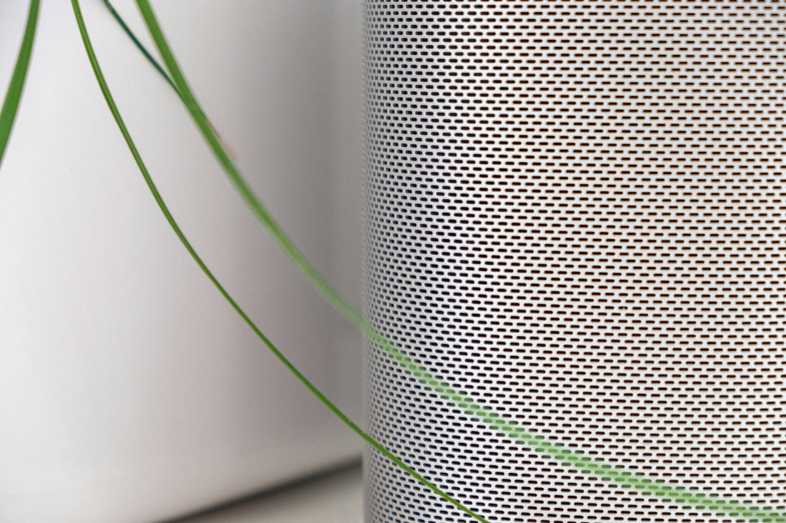 Best Cleaning Habits for Allergy-Friendly Homes