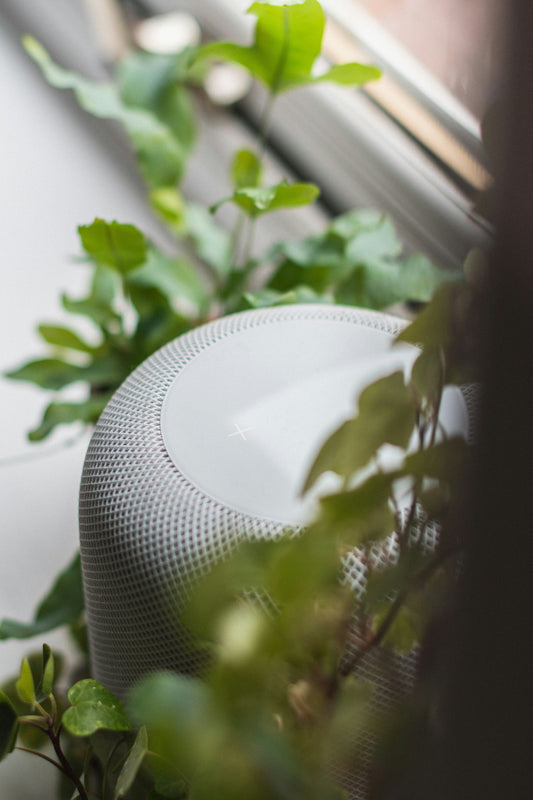 Easy Ways to Reduce Dust and Pet Hair Indoors