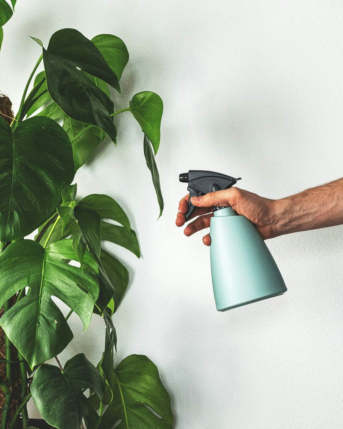 Ultimate Eco Cleaning Checklist for Every Home