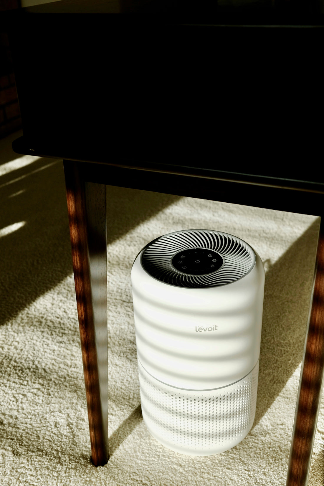 Pet Owners’ Guide to Cleaner Indoor Air