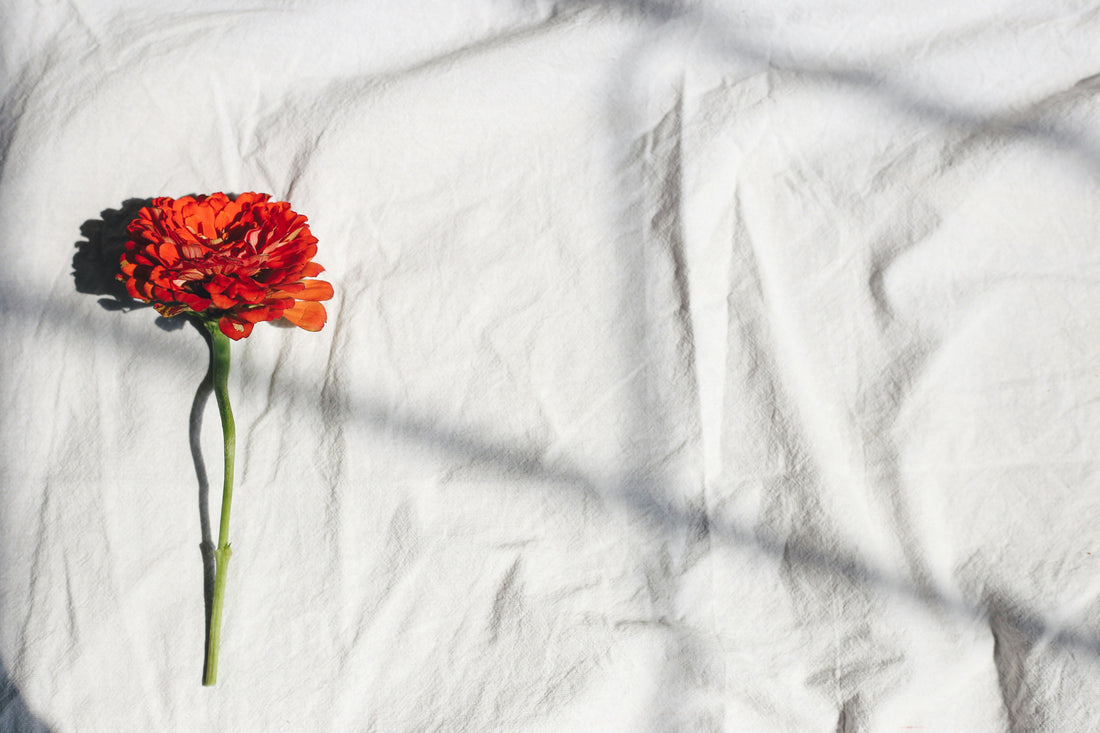 Decluttering Like a Minimalist: The Art of Letting Go