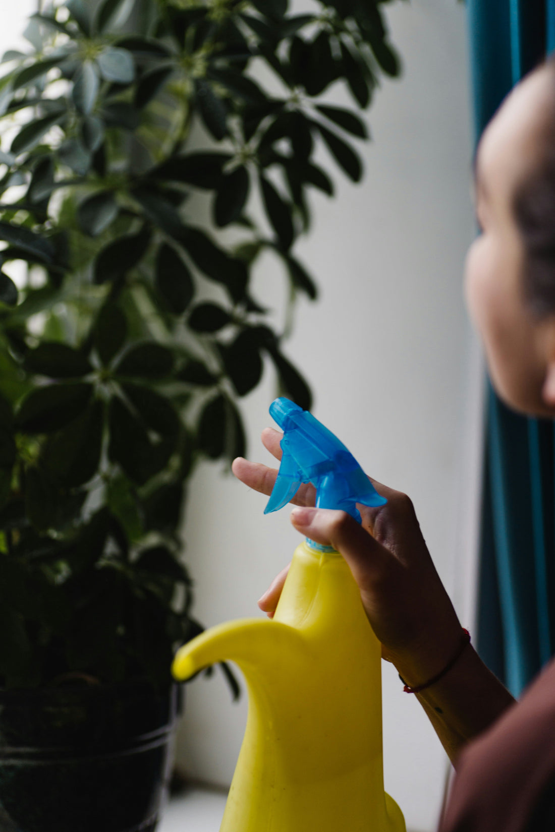 How to Maintain a Clean Home with Minimal Effort