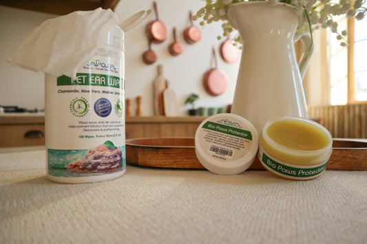 Eco Cleaning vs Traditional Cleaning Which Is Better