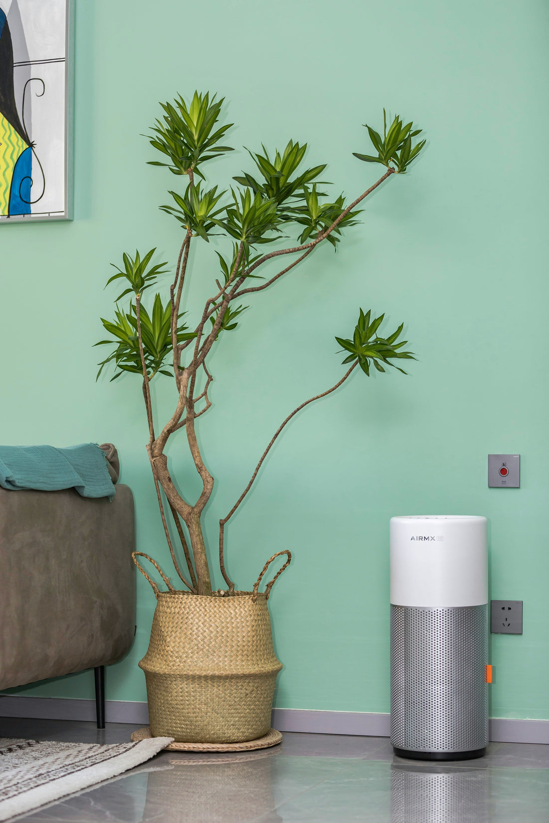 The Hidden Dust and Allergens Inside Your Home