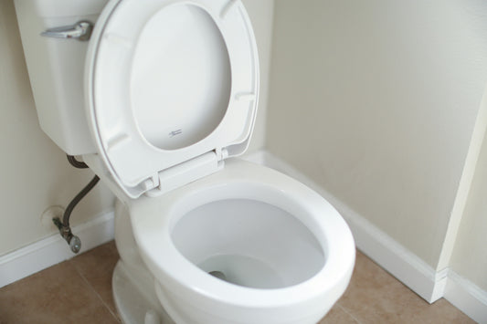 Realistic editorial lifestyle scene showing silicone vs bristle toilet brush in active household use, practical unclutte