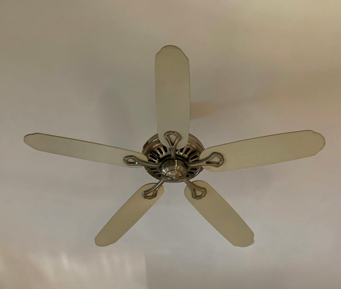 Realistic editorial lifestyle scene showing extendable duster buying guide in active household use, practical uncluttere