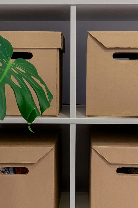 Organized cardboard storage boxes on a shelf