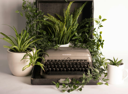 Eco Elegance: How Our Editors Choose Sustainable Essentials