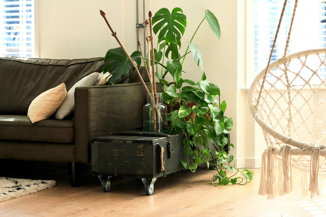 Minimal Cleaning Supplies, Maximum Results