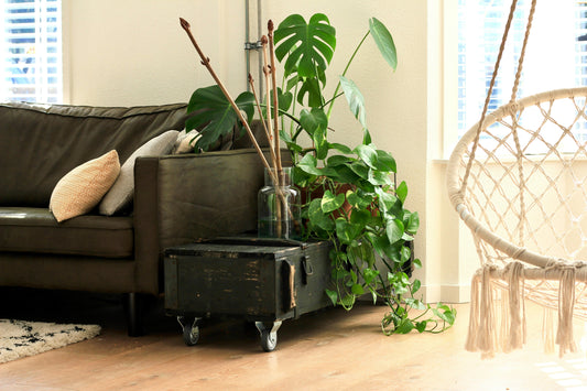 Minimal Cleaning Supplies, Maximum Results