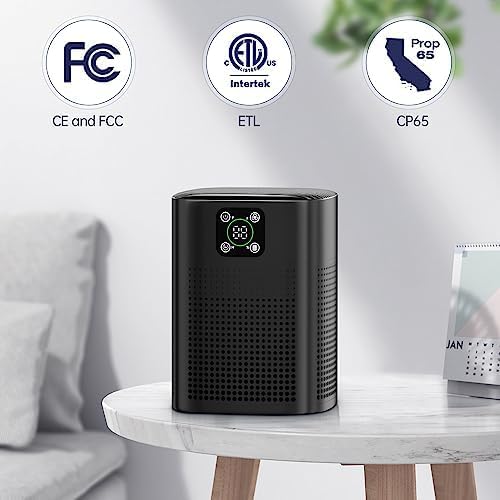 Air Purifiers for pets- Honeyuan H13 HEPA Air Purifier for home, Large Room, Coverage of 600 sqft