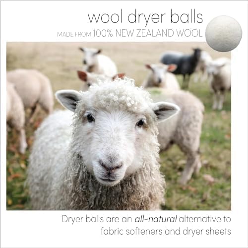 Three by Three Seattle Felt·Like·it!™ XL Wool Dryer Balls + Storage Bin: Reduce Drying Time, Static