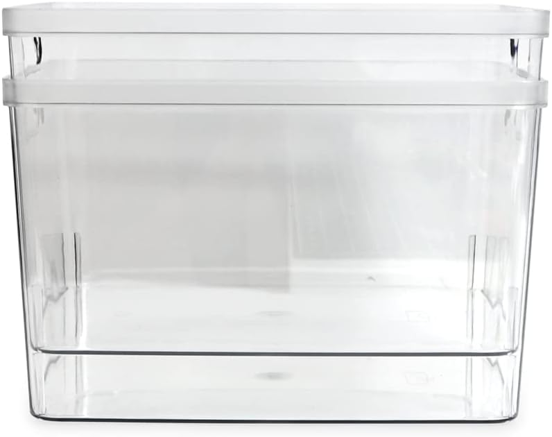 Isaac Jacobs 2-Pack Extra-Large Clear Storage Bins (11.5” L x 14” W x 9” H) w/Cutout Handles