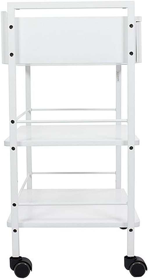 SKINACT Pro Single Drawer Cart Pro Medical Dental Mobile Utility Cabinet & Cart with Steel Frame