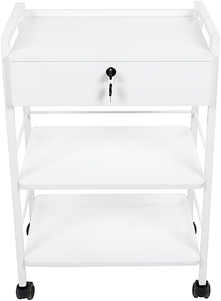 SKINACT Pro Single Drawer Cart Pro Medical Dental Mobile Utility Cabinet & Cart with Steel Frame