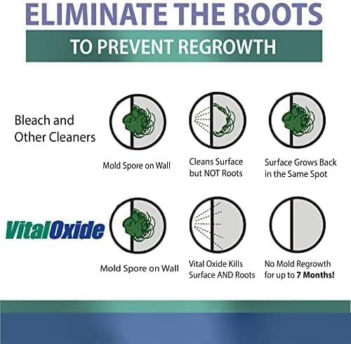 Vital Oxide Disinfectant, Deodorizer, Cleaner, Food-Contact Sanitizer, Virucide – (EPA registration