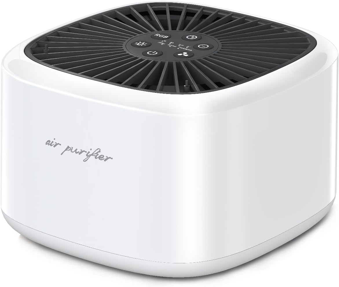 BeOkay Air Purifier Negative Oxygen Ion for Home HEPA Filter 5 Layers Filtration 3 Fan Modes