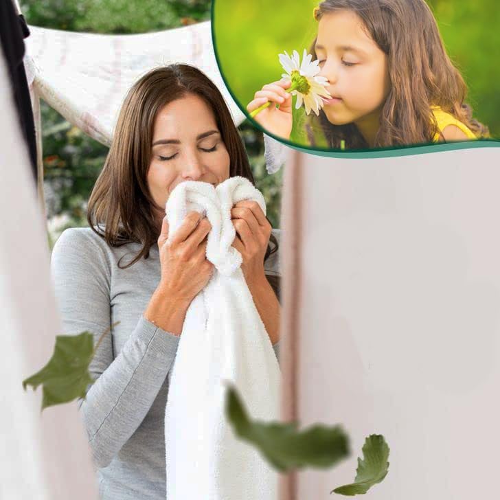 4 in 1 Household Premium Fabric Softener Fresh Scent,250 Single Laundry Dryer Sheets (6.4"x9") Per