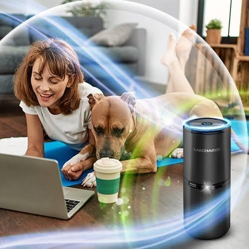 Lab Charge Small Ionic Air Purifier for Home & Bedroom – Silent HEPA Filter – Covers 250 Sq Ft