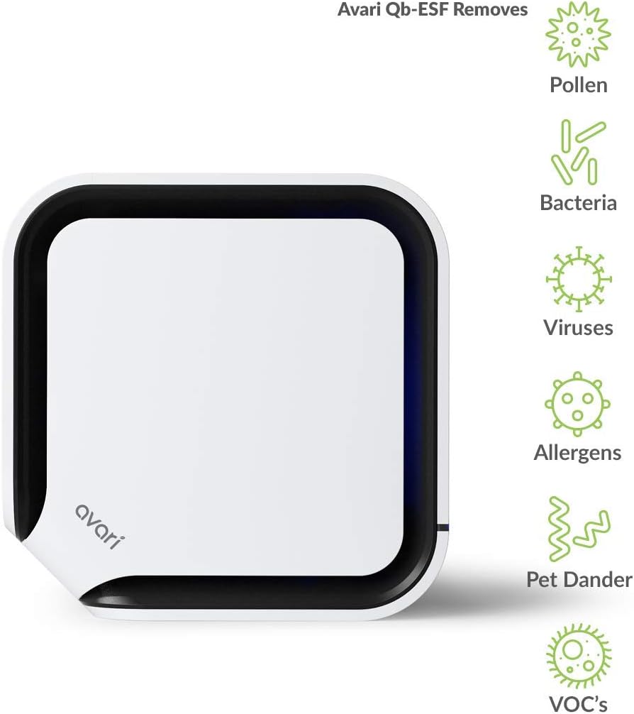 Avari QB 3-Stage Personal Air Purifier made in Korea with Electrostatic Charged Filter, Charcoal