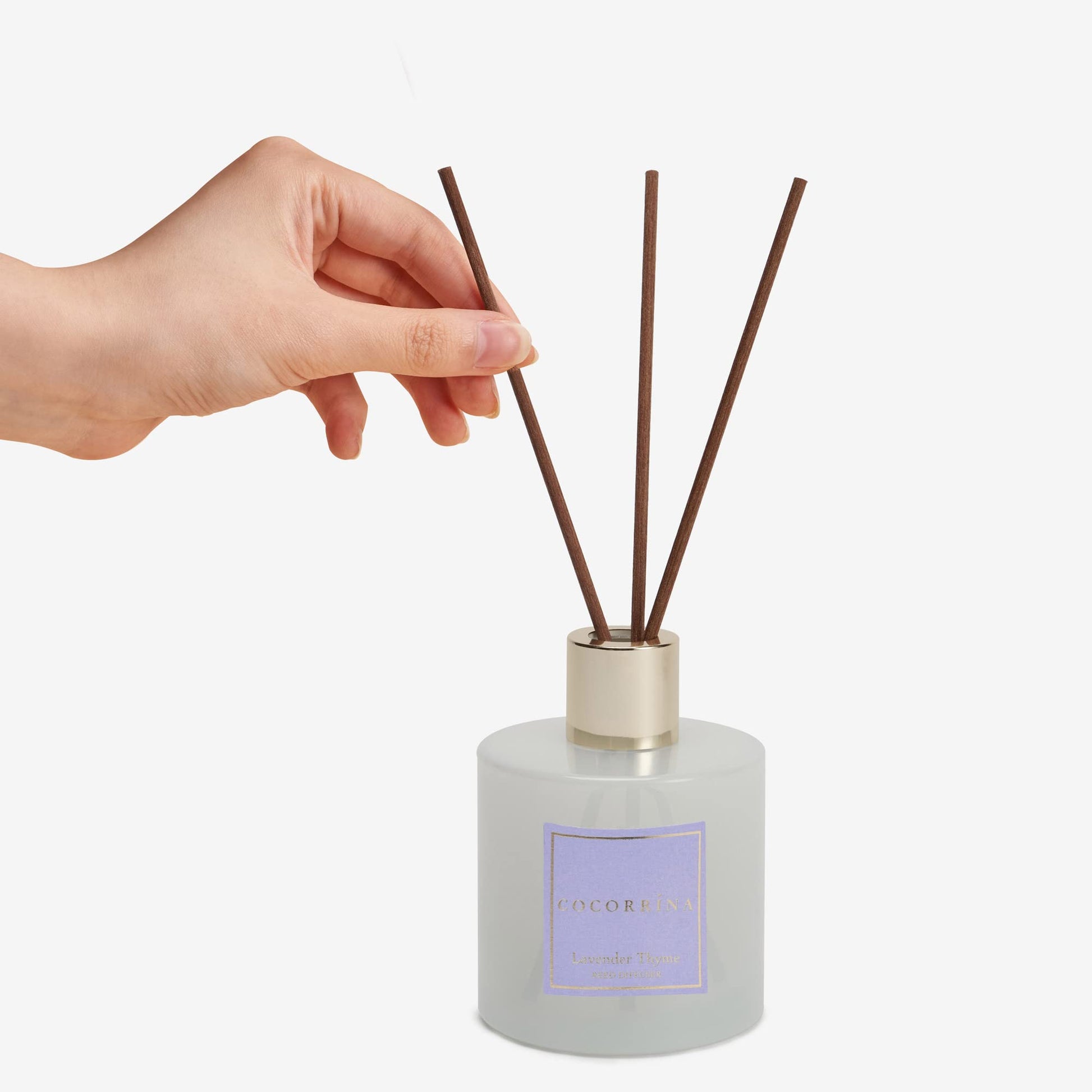 Cocorrína Premium Reed Diffuser Set with Preserved Baby's Breath & Cotton Stick Lavender Thyme |