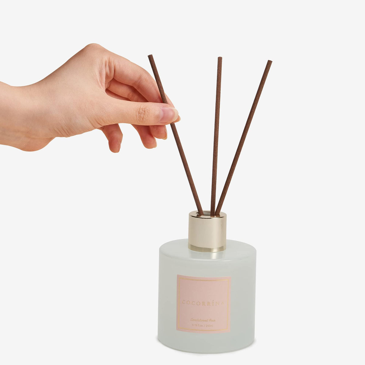 Cocorrína Premium Reed Diffuser Set with Preserved Baby's Breath & Cotton Stick Sandalwood Rose |