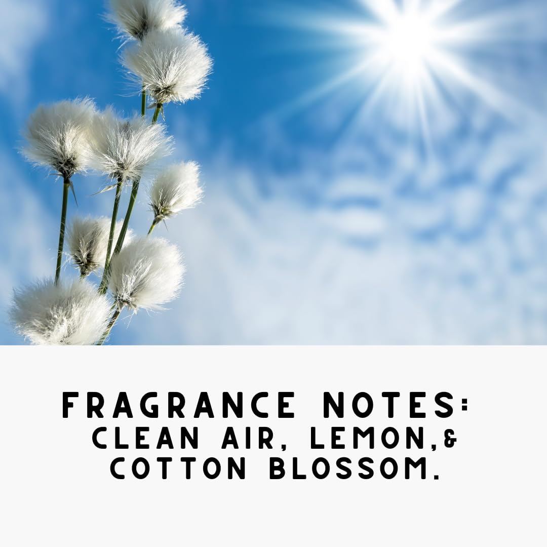 Home 'COTTON SKY',Concentrated, Natural Laundry Detergent Powder - Fresh Air, Apple, & Kiwi| High