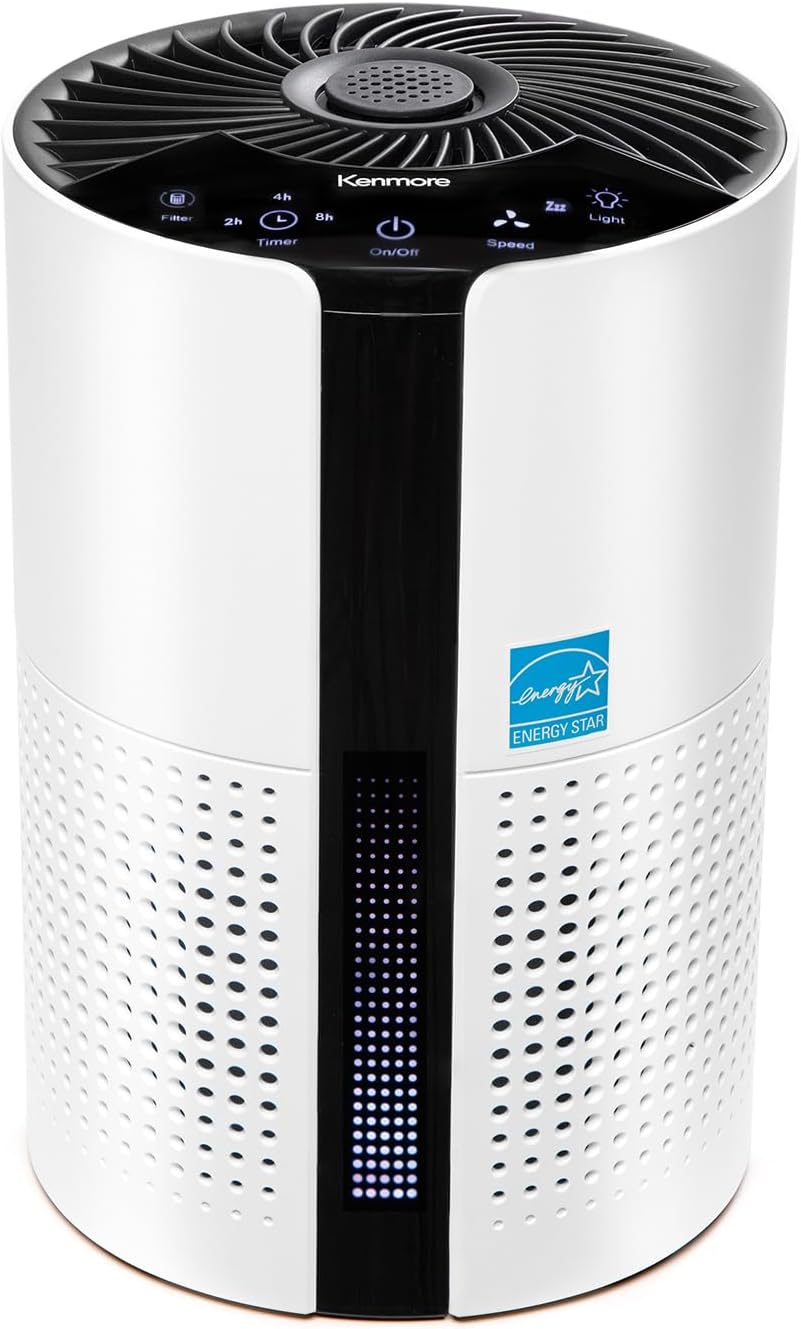 Kenmore PM1010 Air Purifiers for Bedroom Up to 348 Sq.Foot with H13 True HEPA Filter, Child Lock