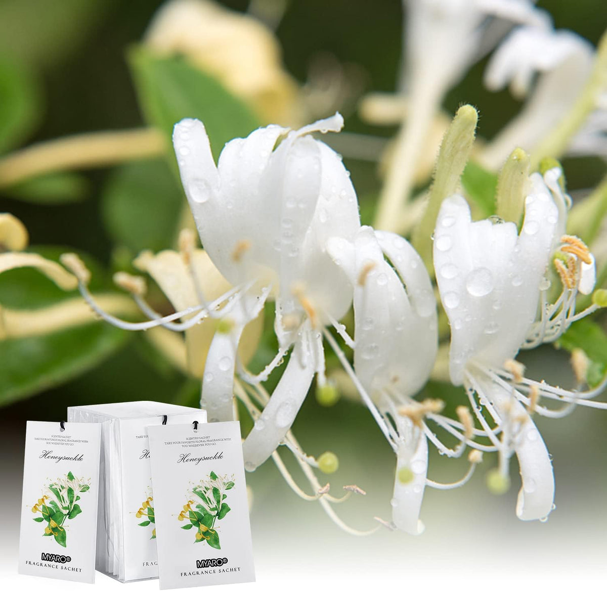 MYARO 12 Packs Honeysuckle Scented Sachets for Drawer and Closet, Long-Lasting Sachets Bags Air