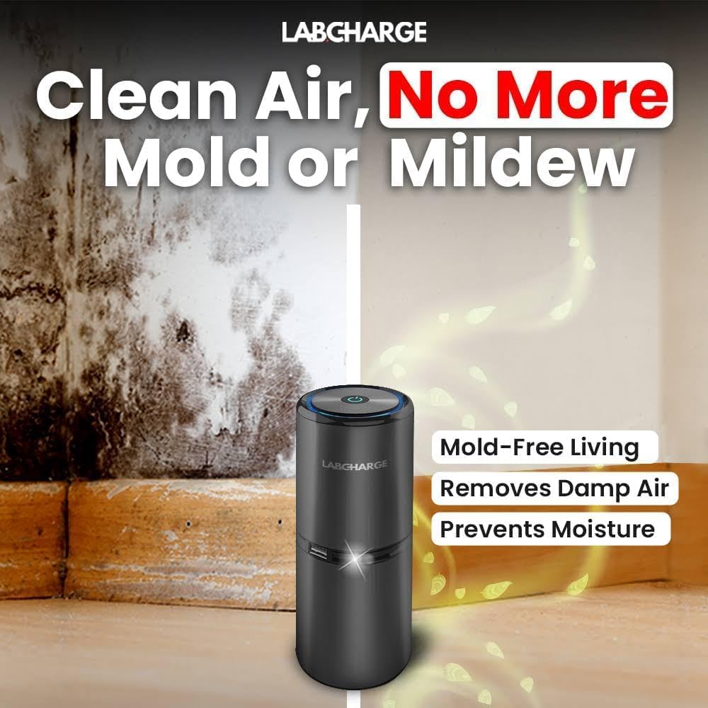 Lab Charge Small Ionic Air Purifier for Home & Bedroom – Silent HEPA Filter – Covers 250 Sq Ft