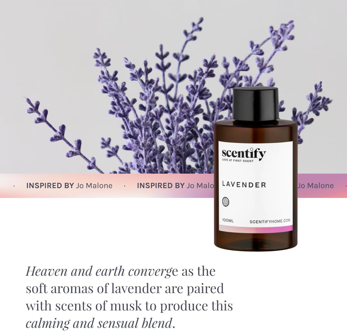 Scentify Lavender Musk Aroma Oil Refill Scent for Oil Diffusers - Bergamot, Vanilla, Cedarwood