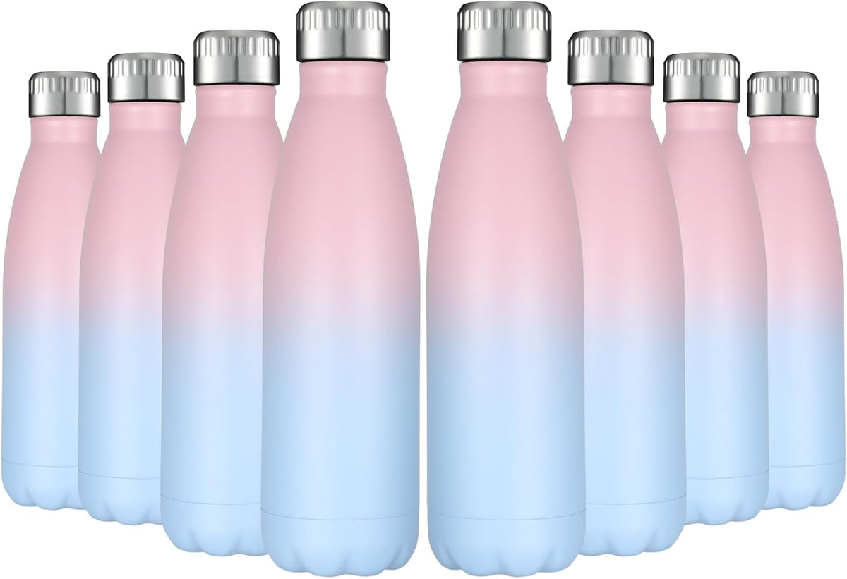 HASLE OUTFITTERS 17oz Stainless Steel Water Bottles Bulk, Vacuum Insulated Water Bottles Double
