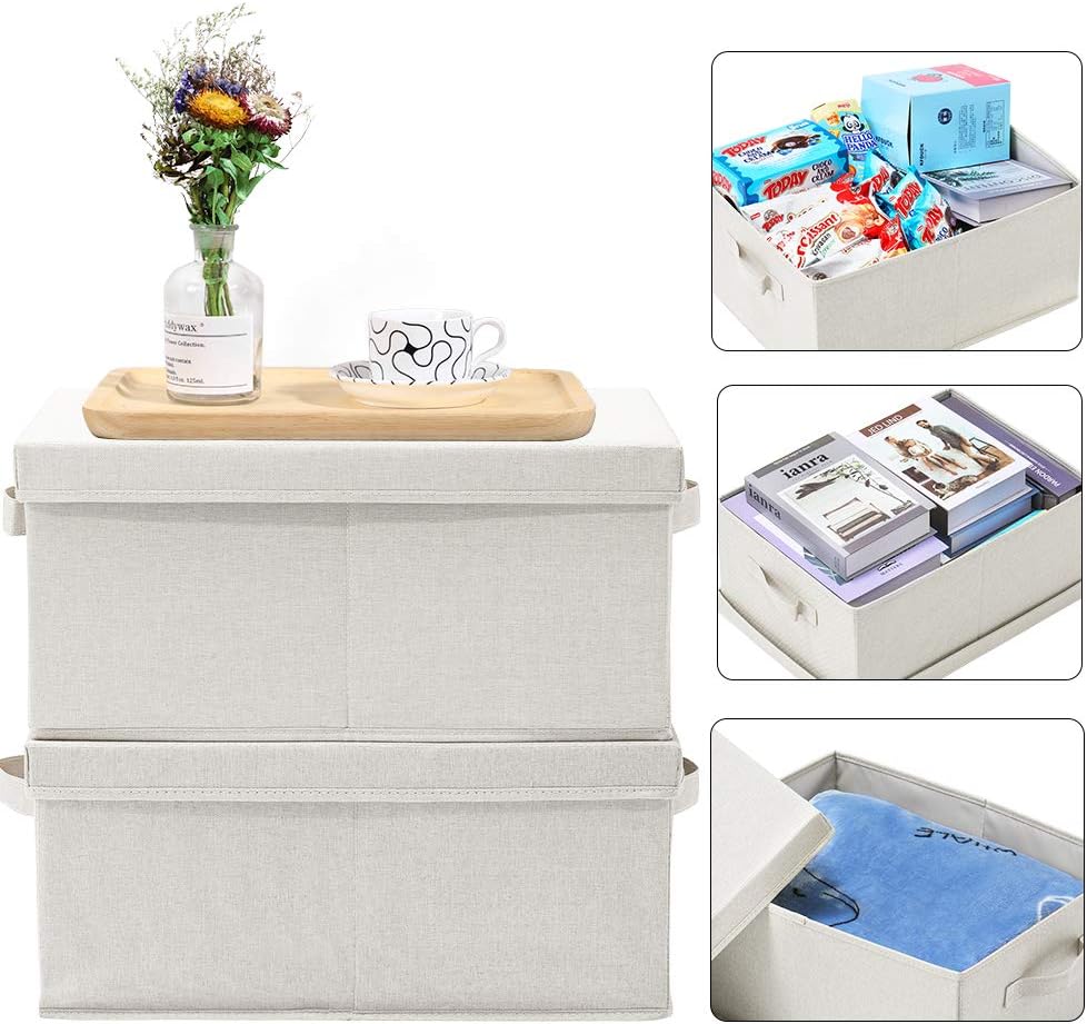 HOONEX Foldable Storage Bins with Lids, 2 Pack, Storage Boxes with Carrying Handles and Sturdy